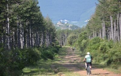 Éxito en la I cicloturista Sierra de Leyre